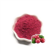 Getrocknetes Cranberry-Pulver