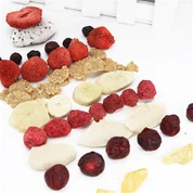 FD Fruchtsnacks